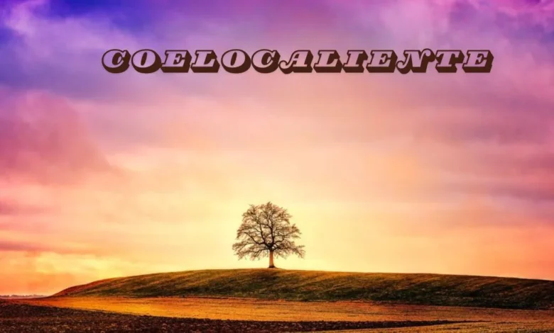Coelocaliente