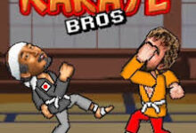 karate bros game