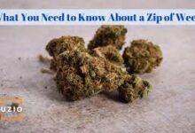 how much is a zip​
