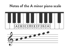 a minor notes​