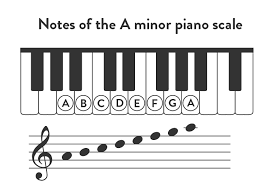 a minor notes​