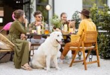 dog friendly restaurants near me