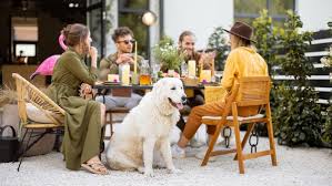 dog friendly restaurants near me